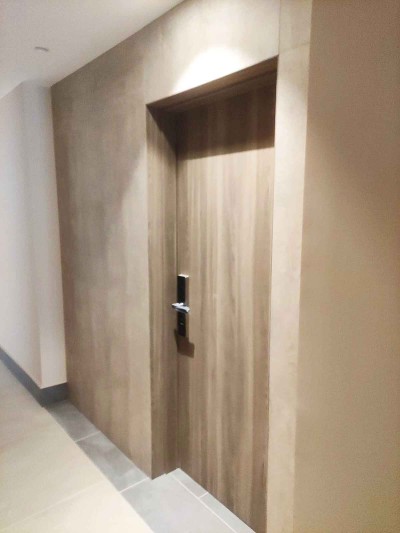 Puerta integrada en revestimiento